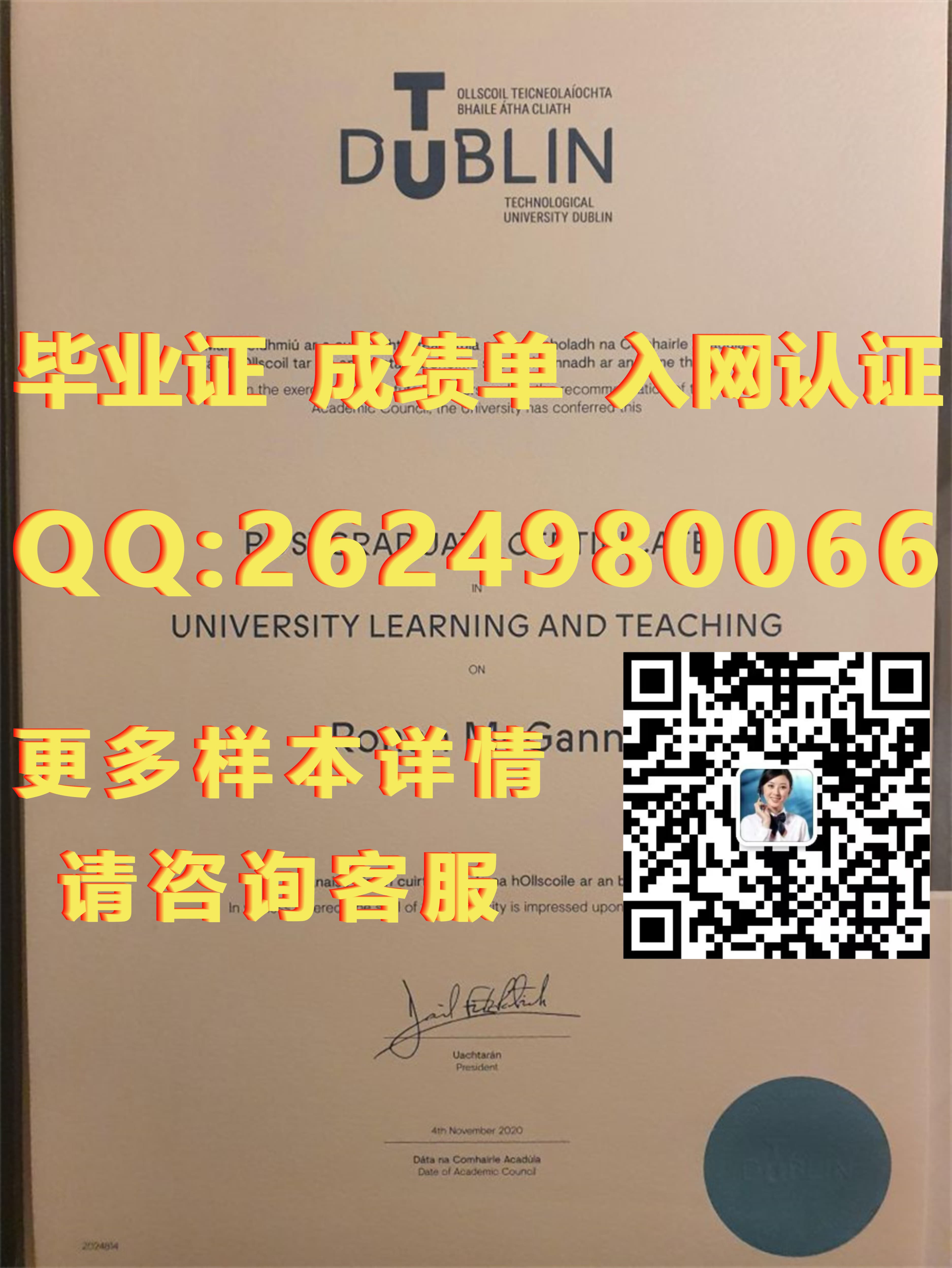 利莫瑞克理工学院毕业证模版|文凭参考|学位证|成绩单图片_理学学位证书_理工类学位证