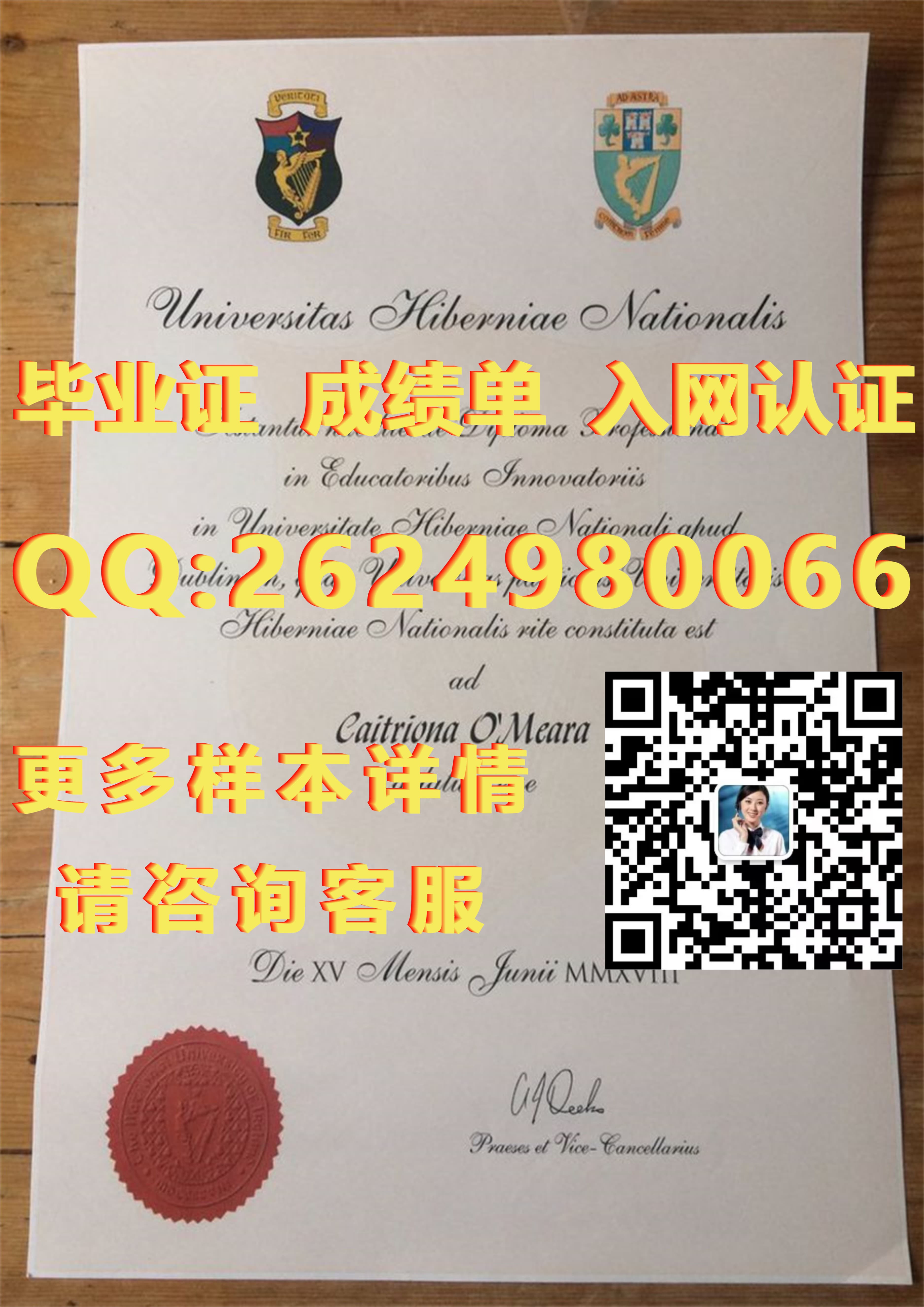 毕业证学位证在线查询_学位毕业证书编号怎么查_都柏林城市大学毕业证模版|文凭参考|学位证|成绩单图片