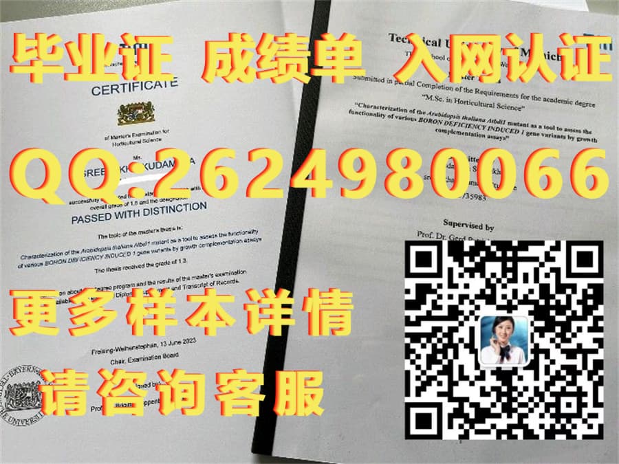 柏林洪堡大学毕业证模版|文凭参考|学位证|成绩单图片_柏林大学在继承和发展_柏林大学本科申请条件