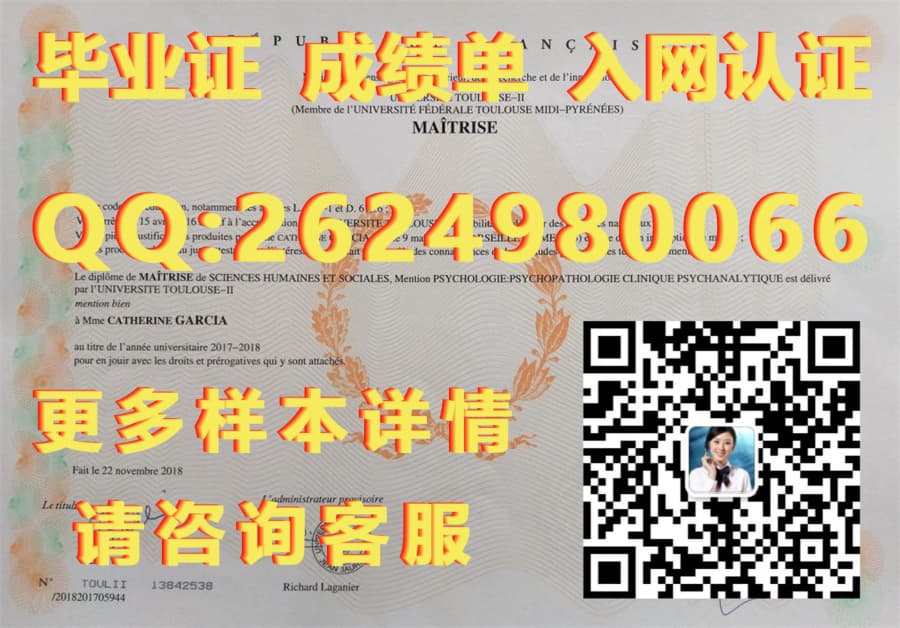 参考学位论文格式_艾克斯-马赛大学毕业证模版|文凭参考|学位证|成绩单图片_马赛学士杯