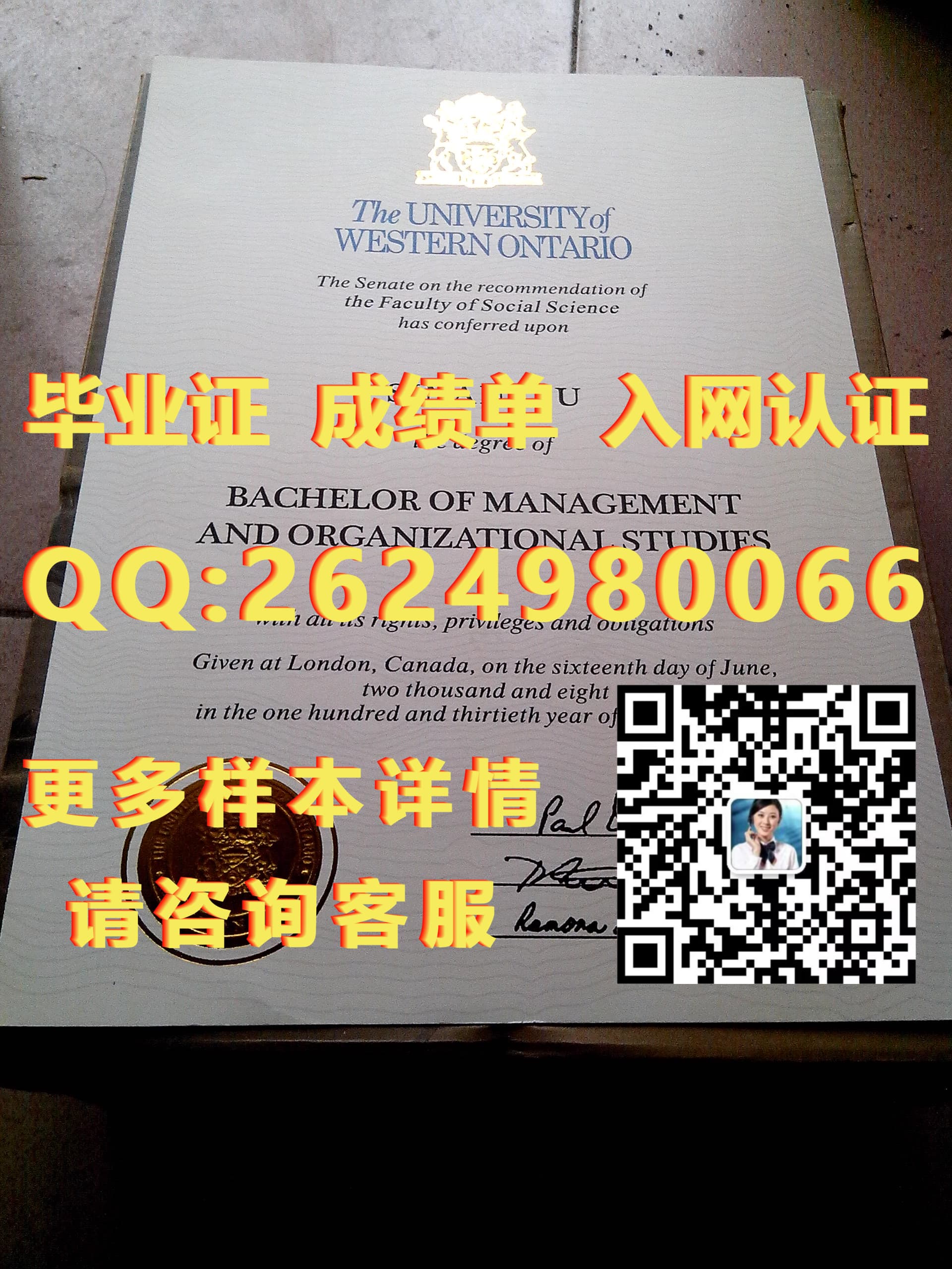 加拿大不列颠哥伦比亚驾驶证正面毕业证模版|文凭参考|学位证|成绩单图片_加拿大cic哥伦比亚国际学校_加拿大哥伦比亚学院