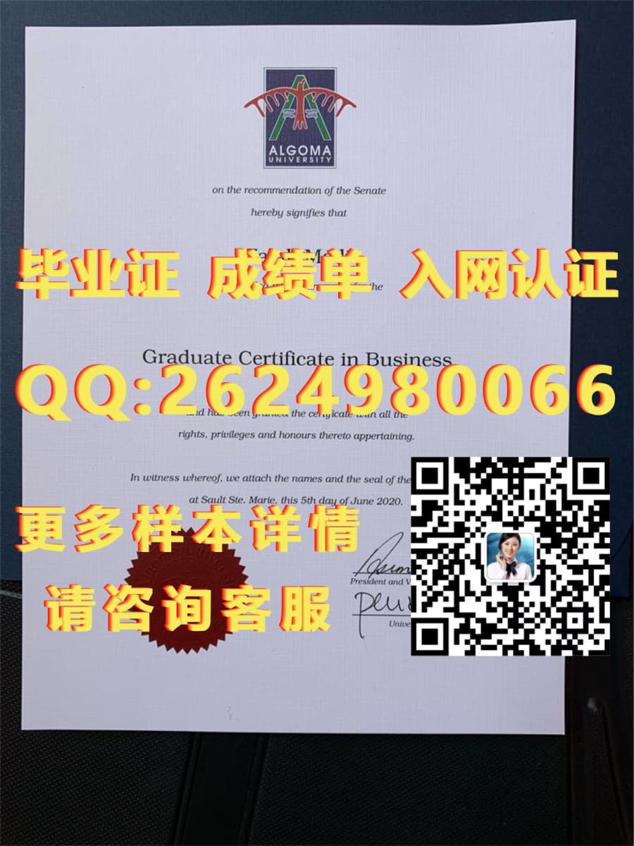 北大西洋学院留学申请_北大西洋学院_北大西洋学院College of the North Atlantic成绩单毕业证模版|文凭参考|学位证|成绩单图片