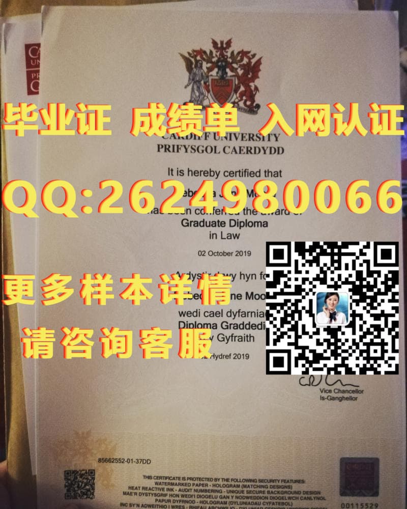 毕业证学位证证书编号查询_埃塞克斯大学毕业证毕业证模版|文凭参考|学位证|成绩单图片_毕业证学位证成绩单的翻译